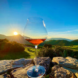 Set 6 Copas de Vino Cristal 710ml Burgundy Stölzle